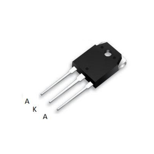 R30FP60DN