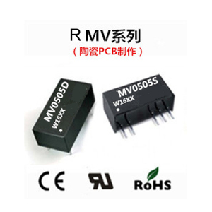 RMV series DC-DC converter